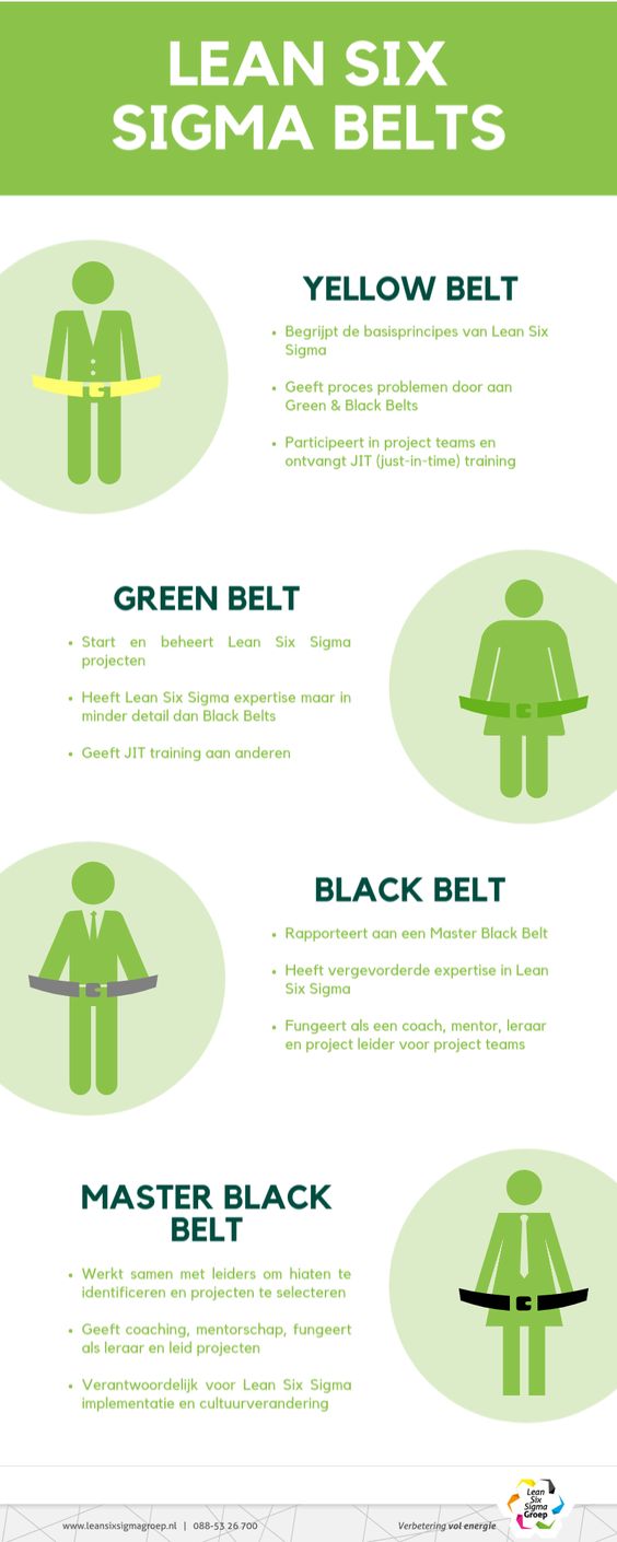 Infographic Color Belts